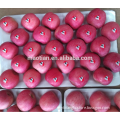 /msite/products/detail/productid/54855506/id/542998.html